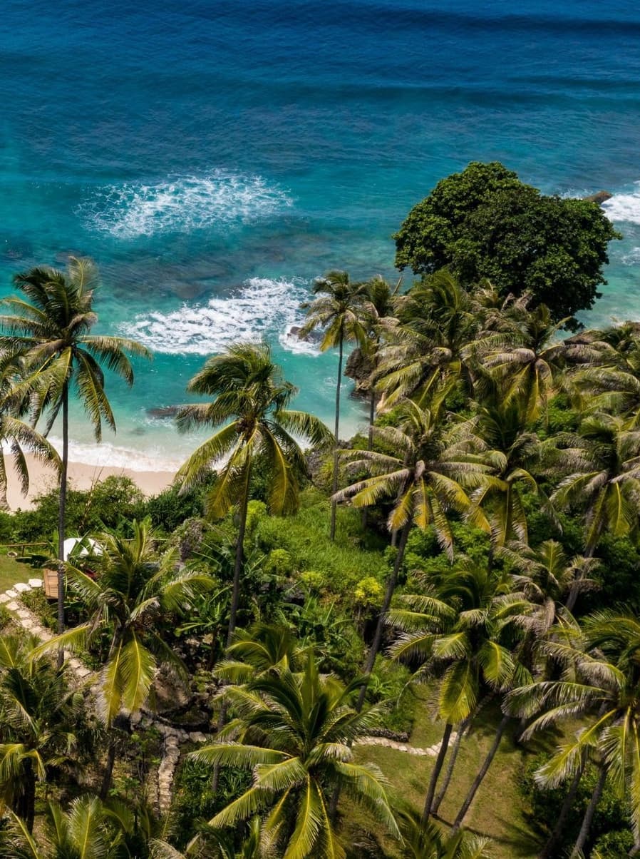 Sumba salvaje — playa y palmeras frente al mar en Sumba Hills